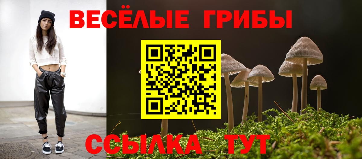 Галлюциногенные грибы прущие грибы Саранск